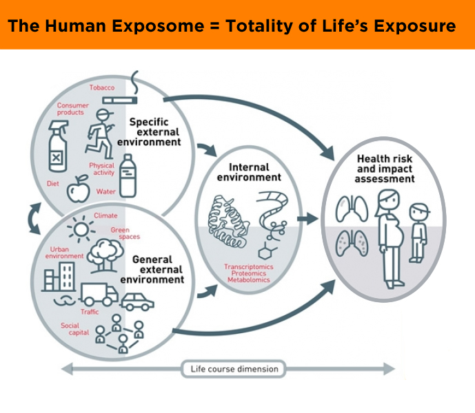 human exposome