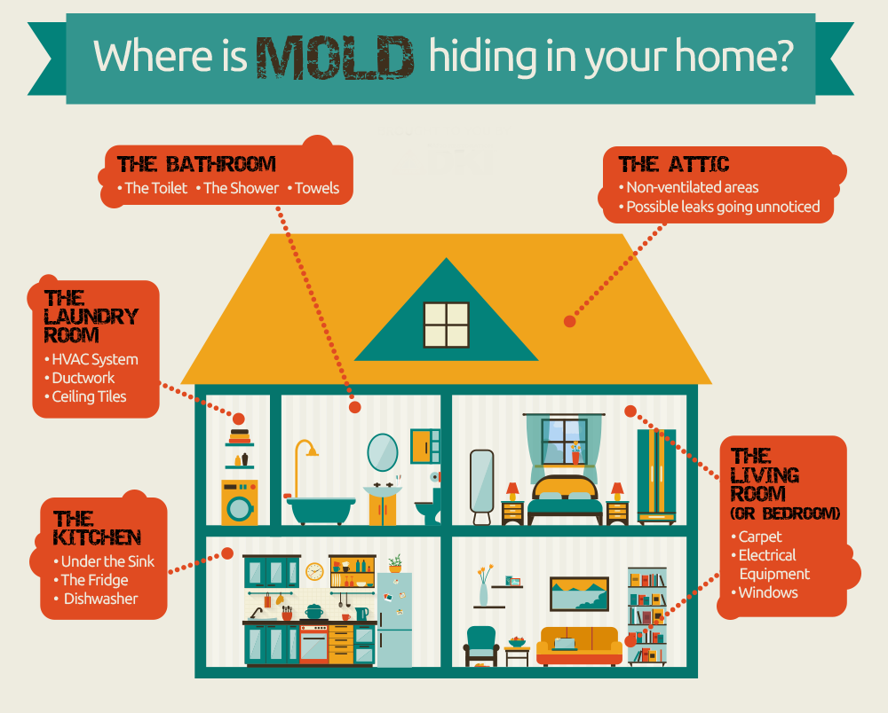 moldhomeinfographic