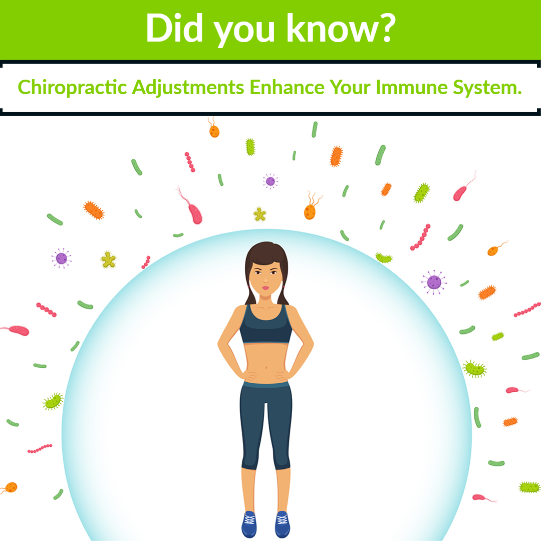 chiropractic adjustments boost immunity